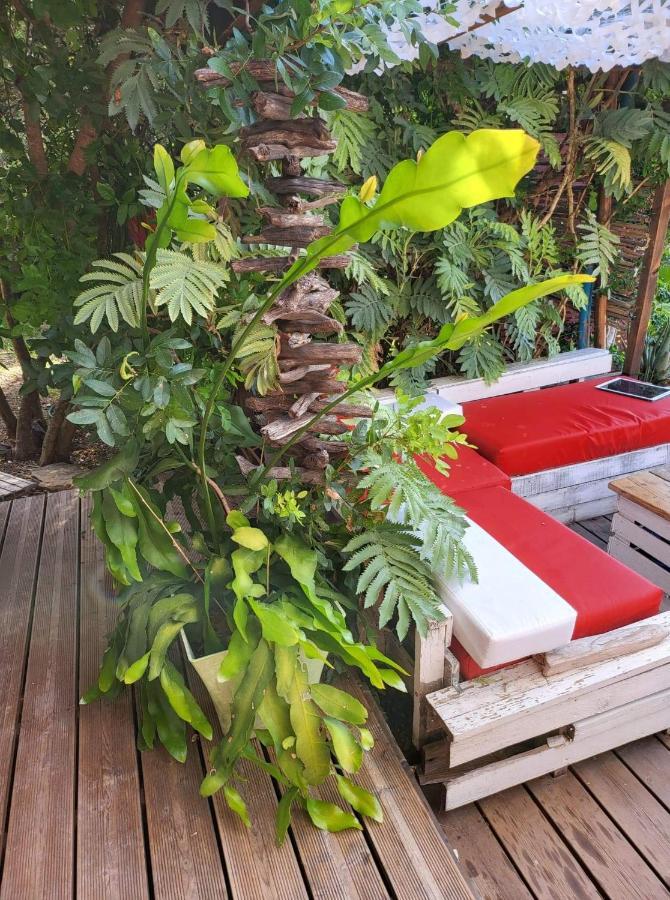 Logement De Charme Avec Piscine Et Jacuzzi Carnoules  Exterior photo